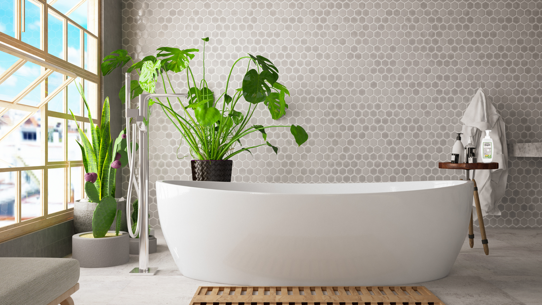 Badezimmer Bild mit Badewanne und Pflanze 